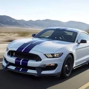 Meet your Posher, Colby